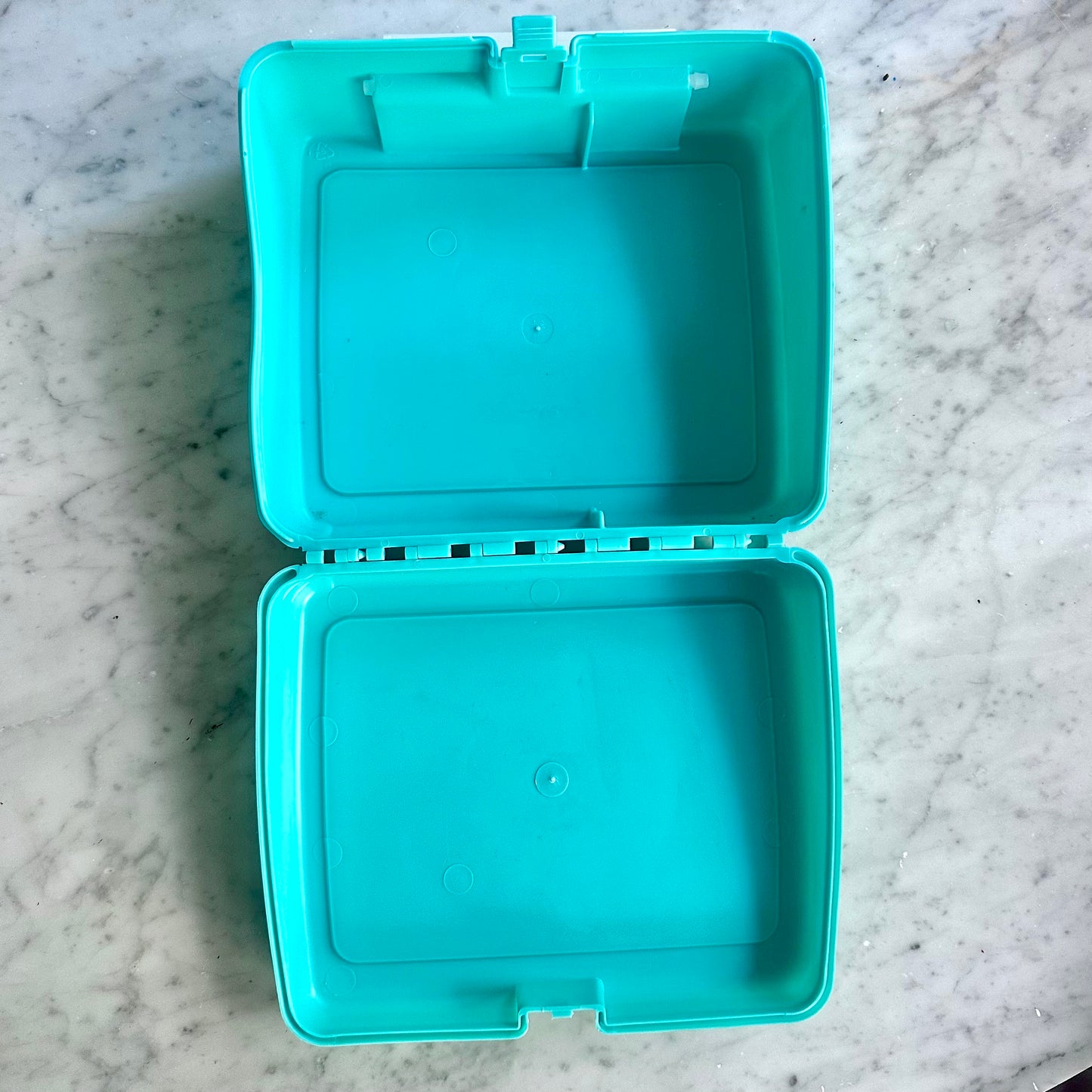 1993 Littlest Pet Shop Lunchbox and Thermos