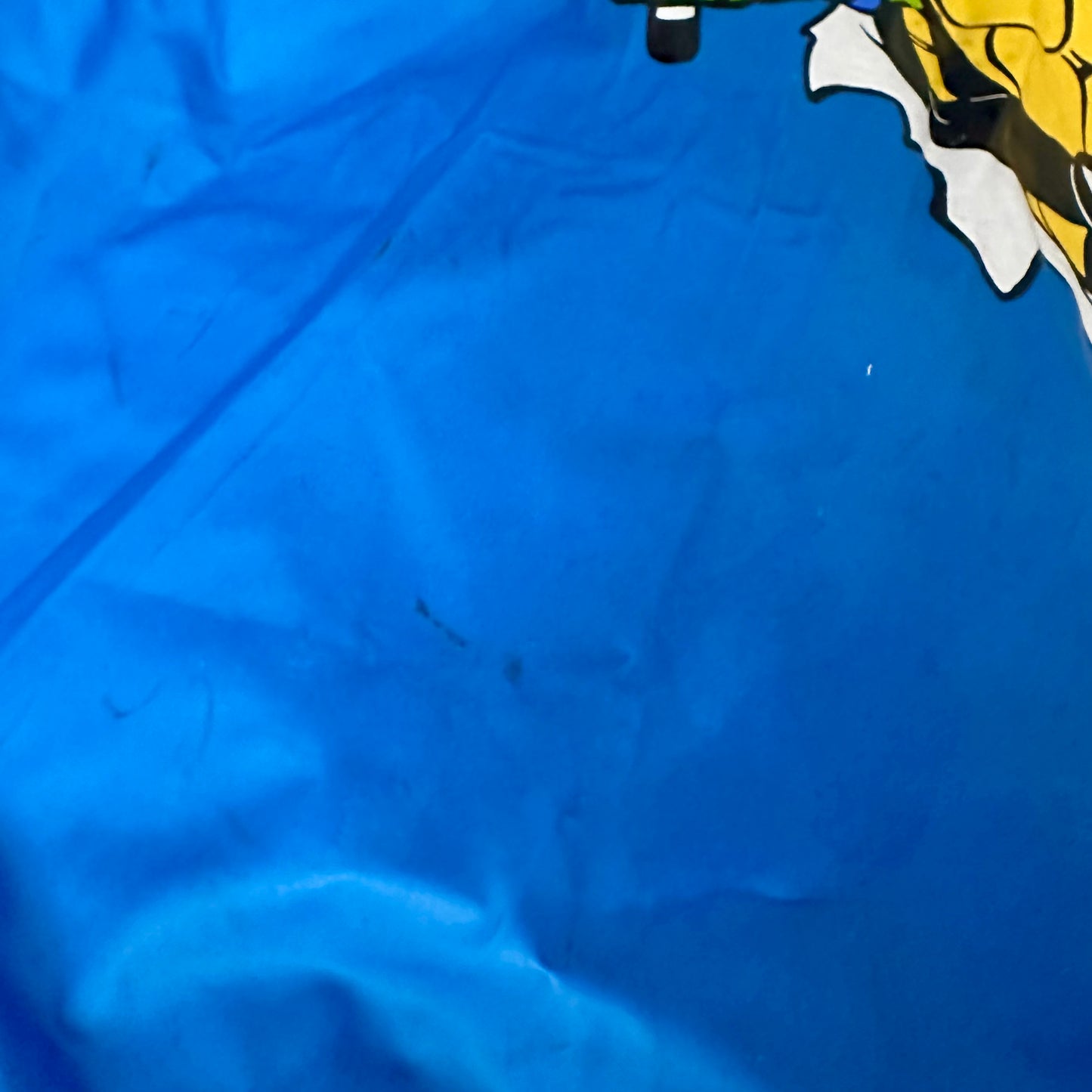 1989 TMNT Raincoat