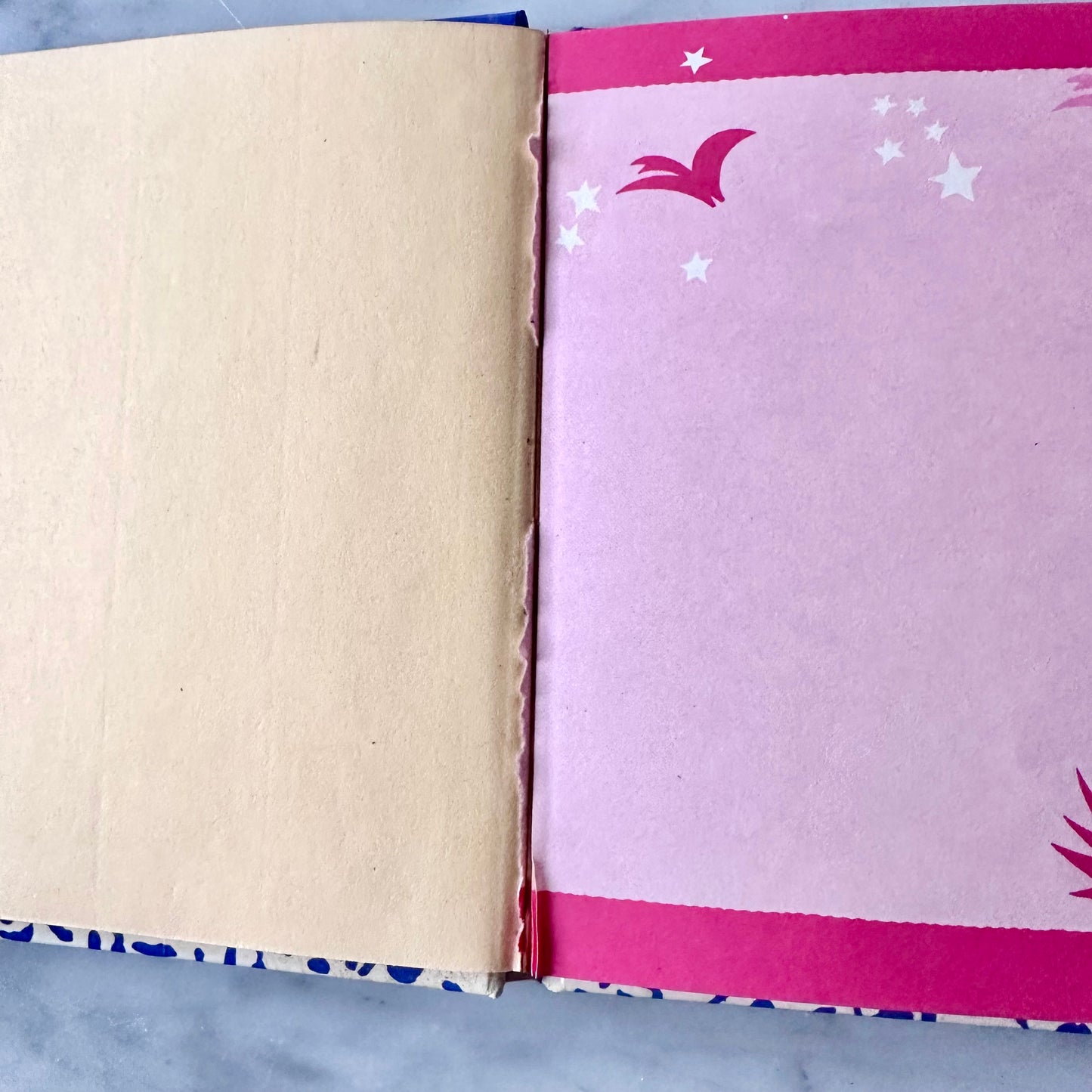 90’s Flomo Dino Autograph Book