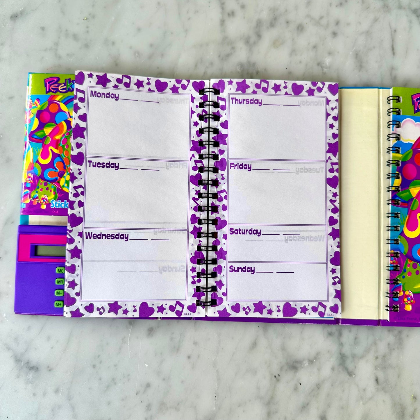 Vintage Lisa Frank Peekaboo Turtle Planner