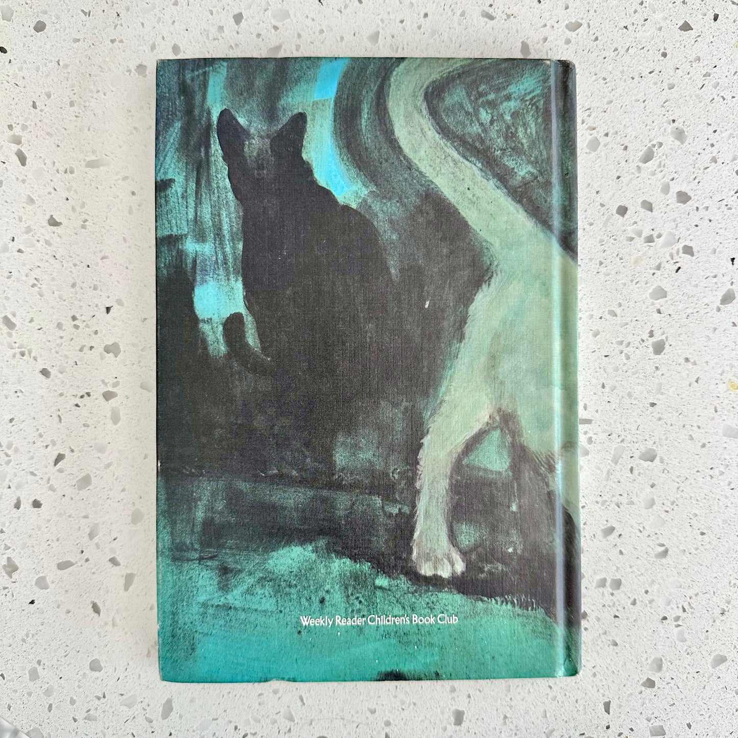 1976 Star Ka'at by Andre Norton & Dorothy Madlee Hardcover Book