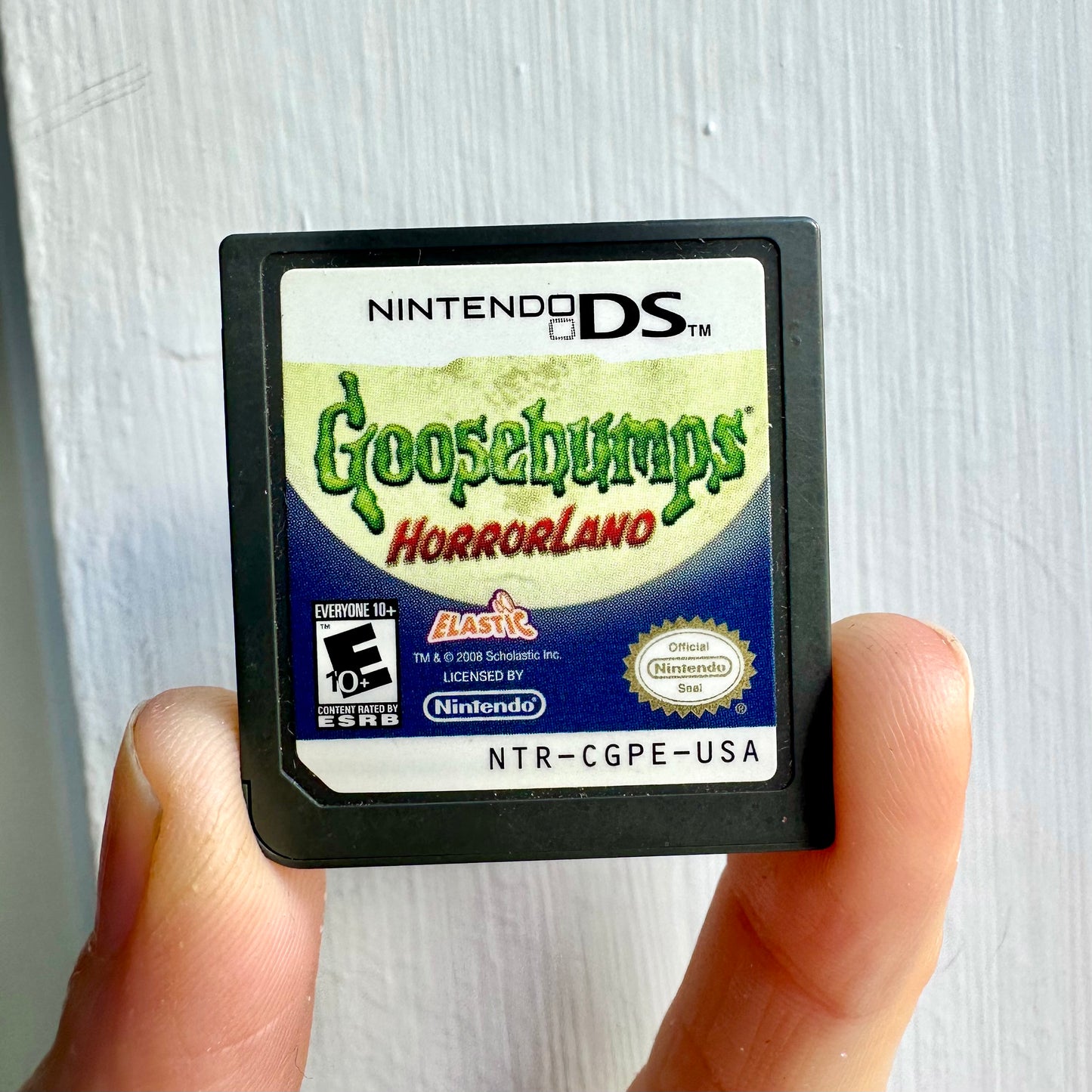 Goosebumps “Horrorland” DS Game
