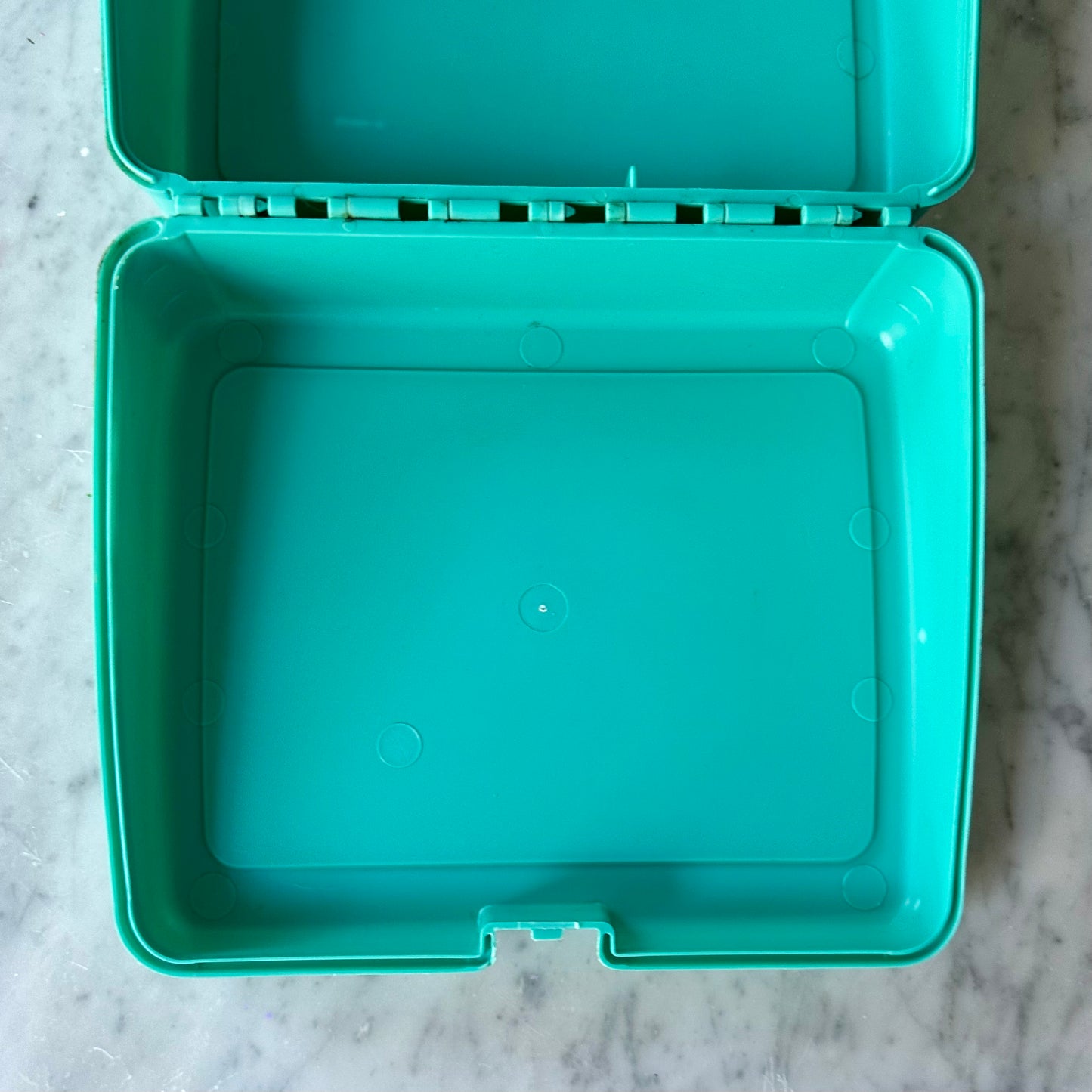 90’s Pocahontas Lunchbox