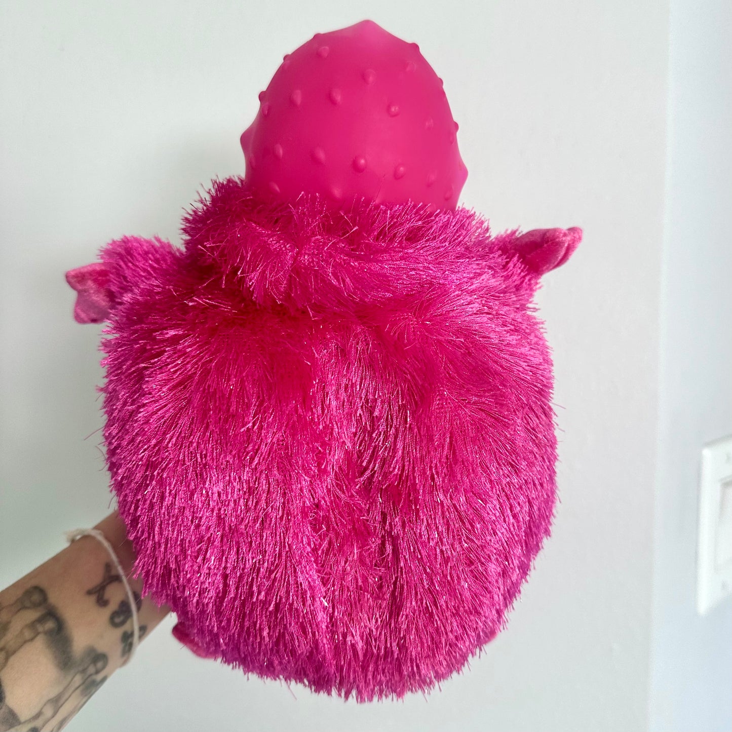 2004 Ragdoll Boobah Silly Sounds