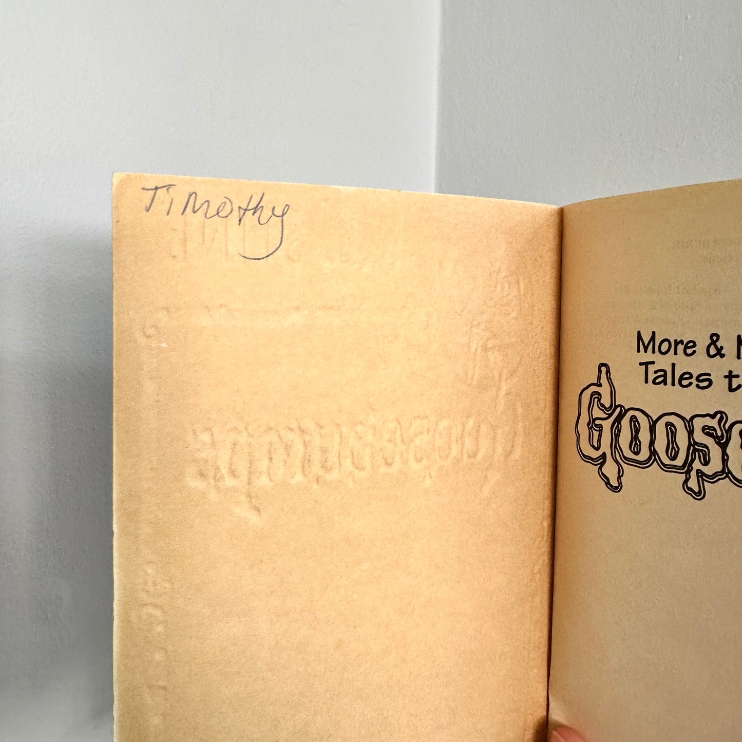 90’s More & More & More Tales to Give You Goosebumps Book #6