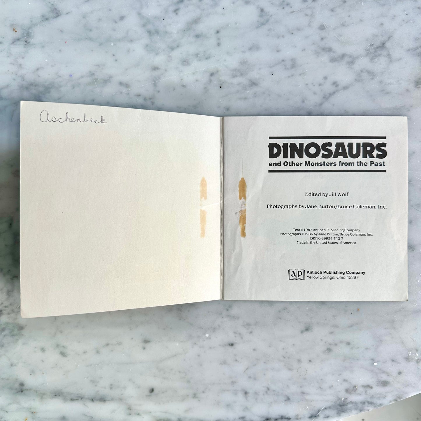 1987 "Dinosaurs and Other Monsters from the Past" Book
