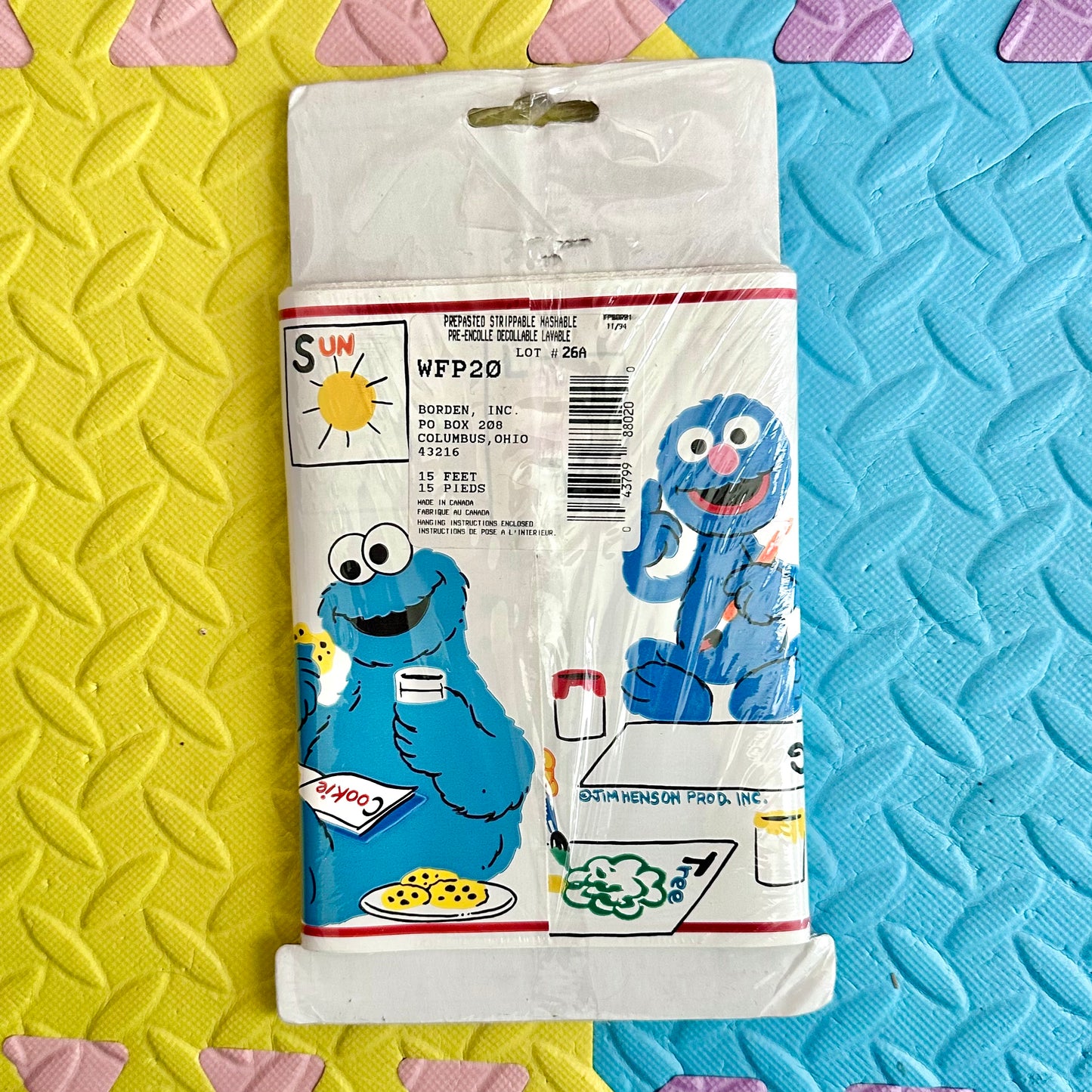 Vintage Sesame Street Babies Wall Border