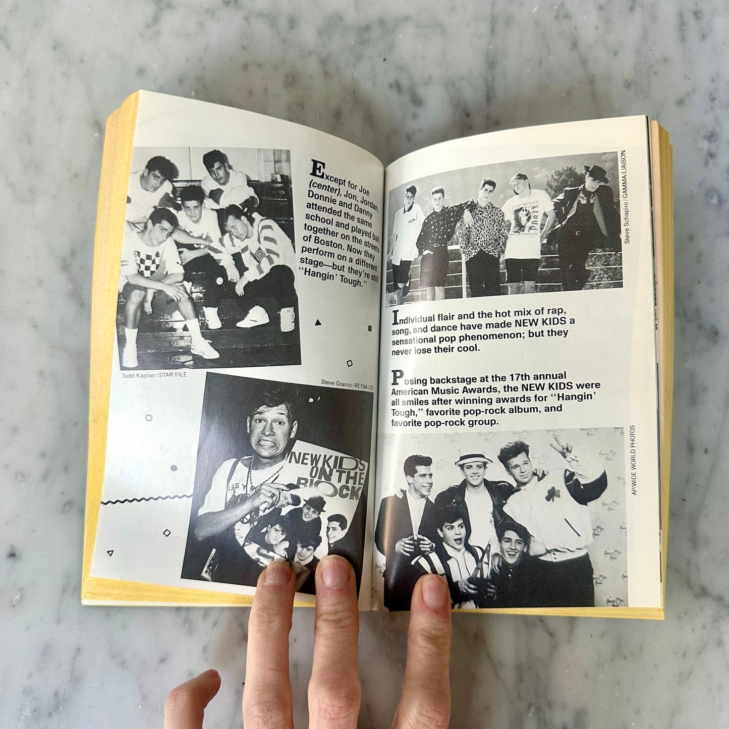 The Lives & Loves of New Kids On The Block Book