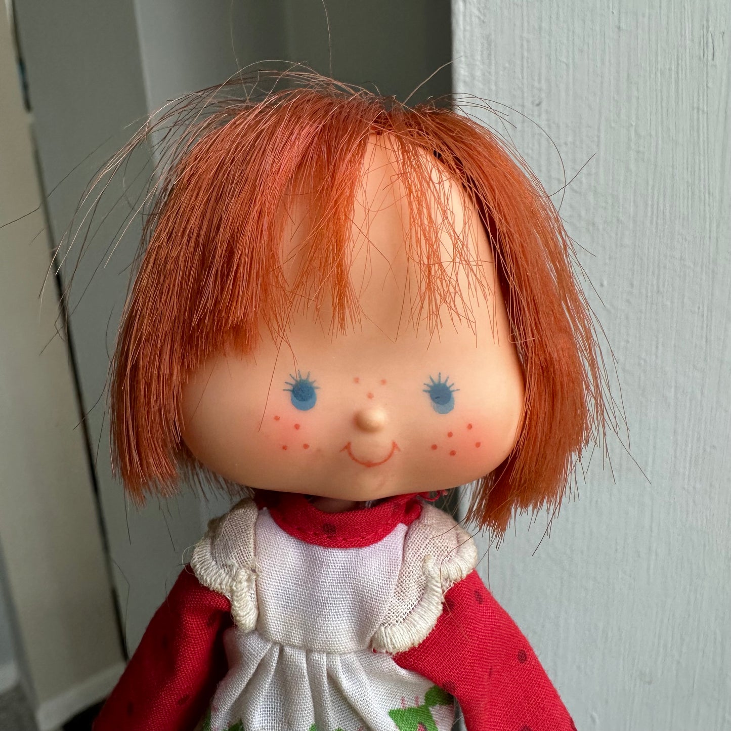 1979 Strawberry Shortcake Lot