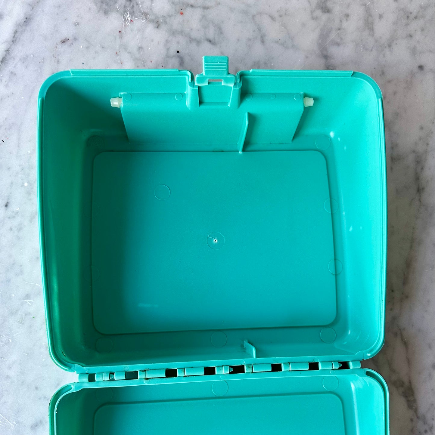 90’s Pocahontas Lunchbox