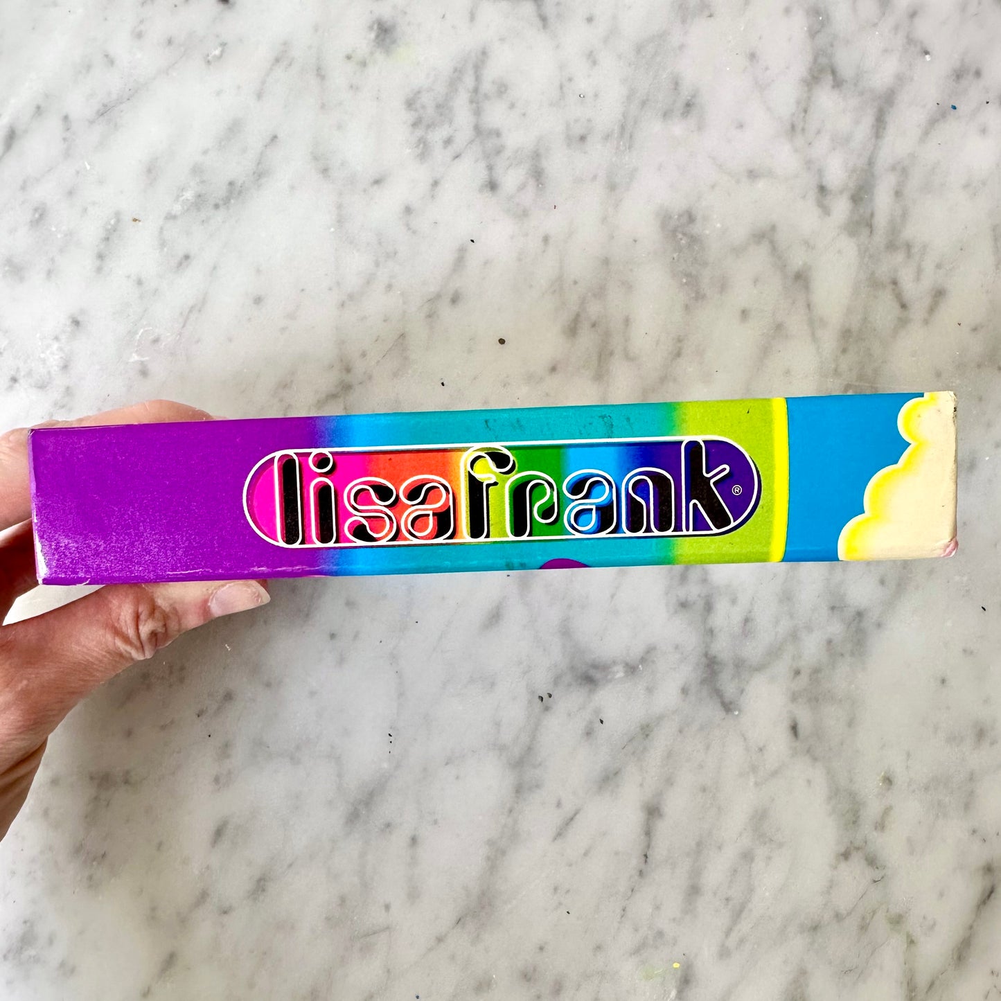 Vintage Lisa Frank Peekaboo Turtle Planner