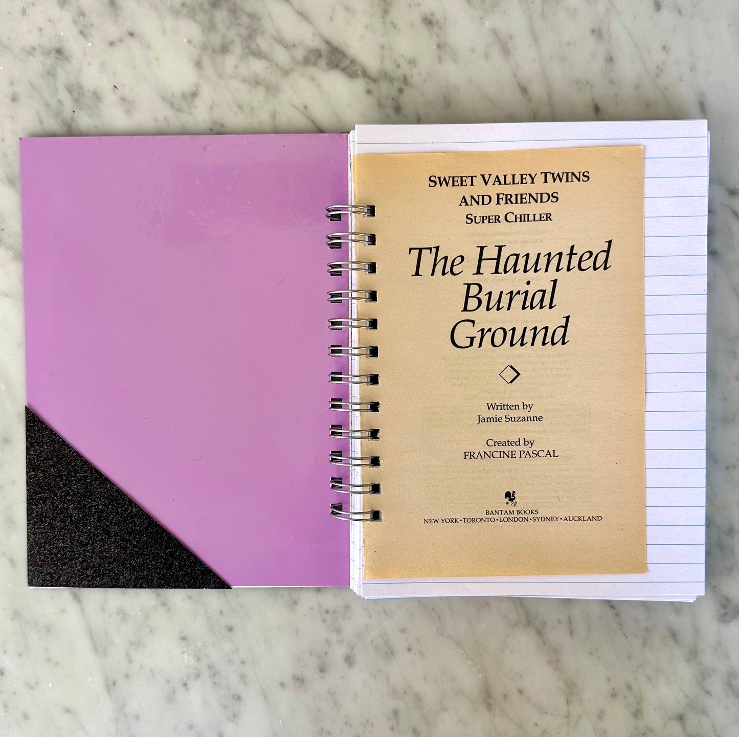 Vintage Sweet Valley Twins “The Haunted Burial Ground” Book Journal