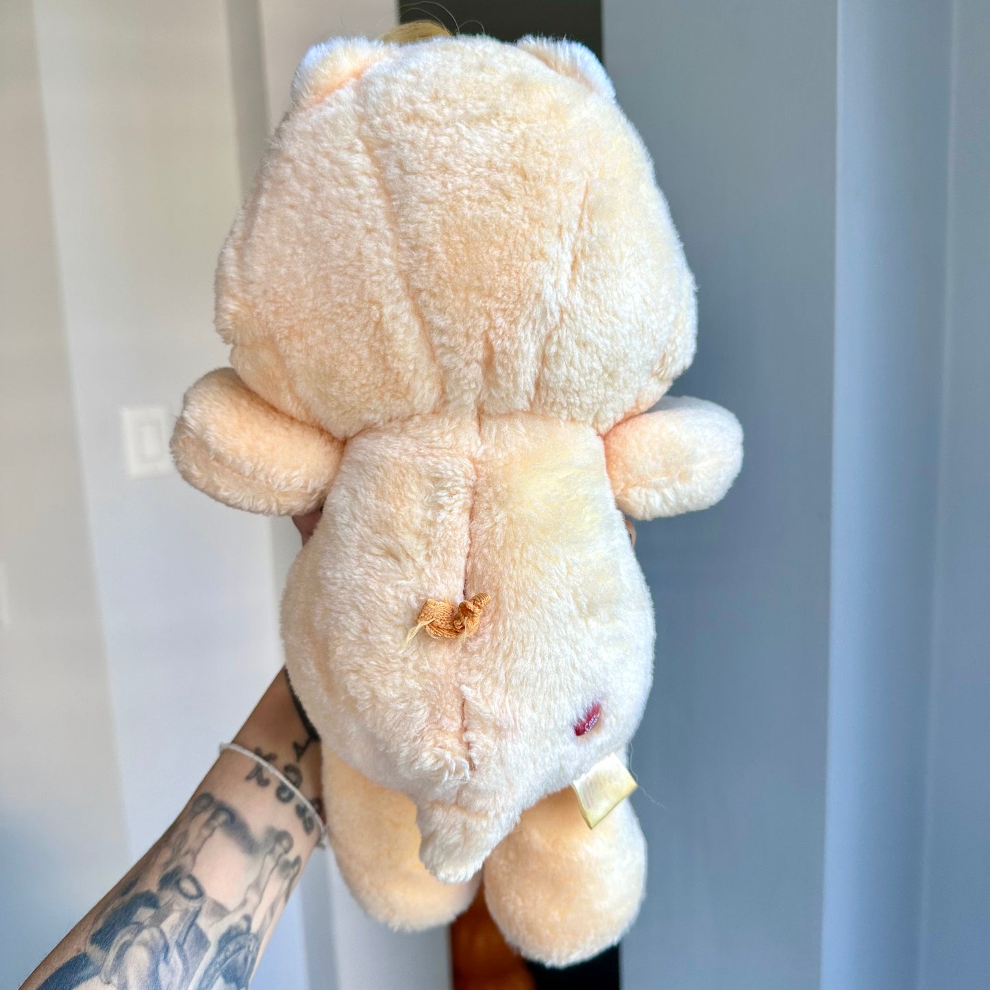 1985 “Secrets” Care Bears Talking Plush