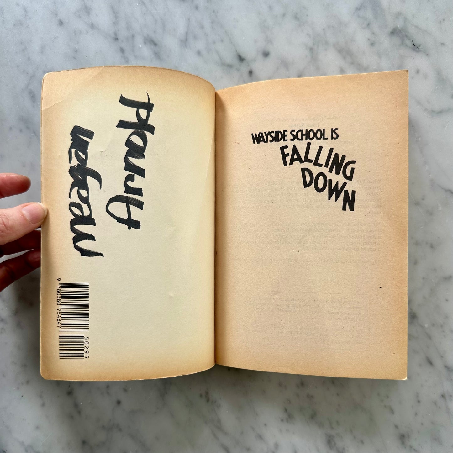 Vintage Wayside School Is Falling Down Book