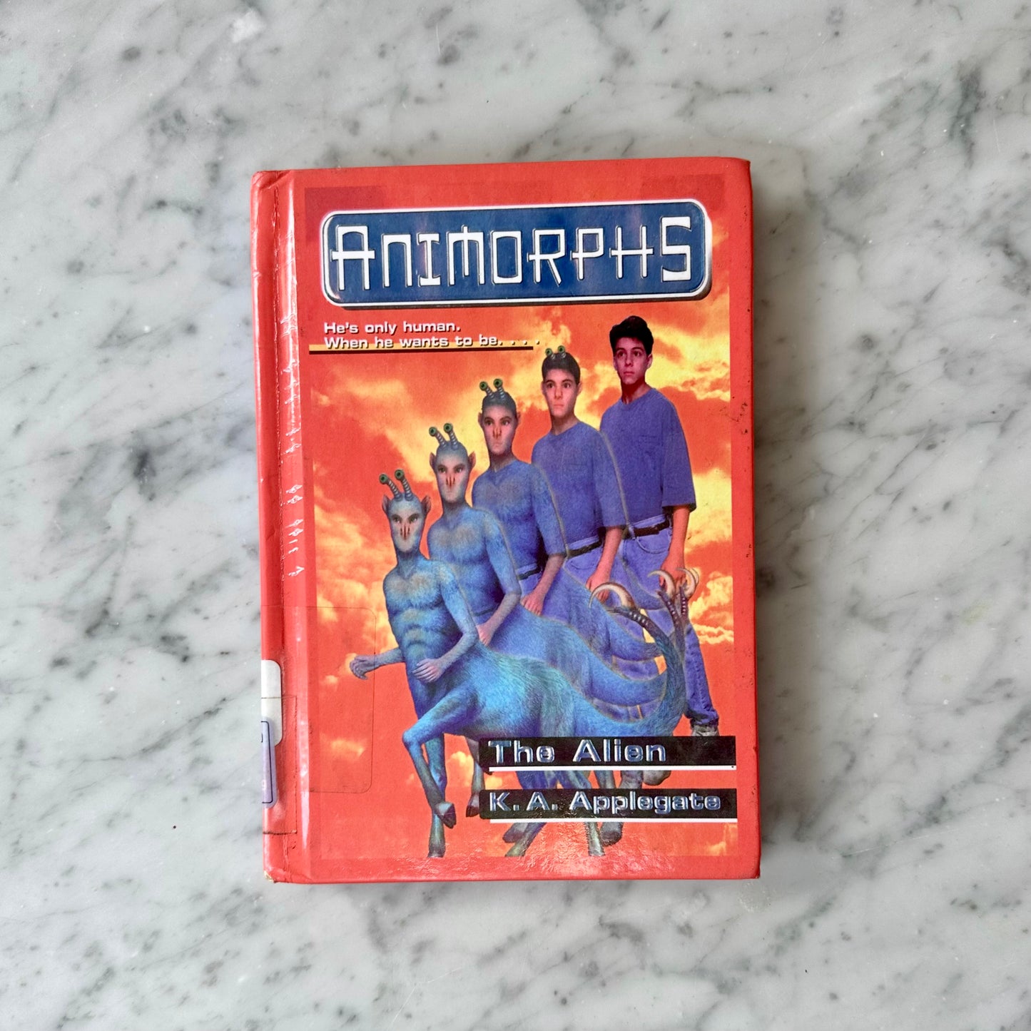 Vintage 90’s Animorphs Library Book-You Choose