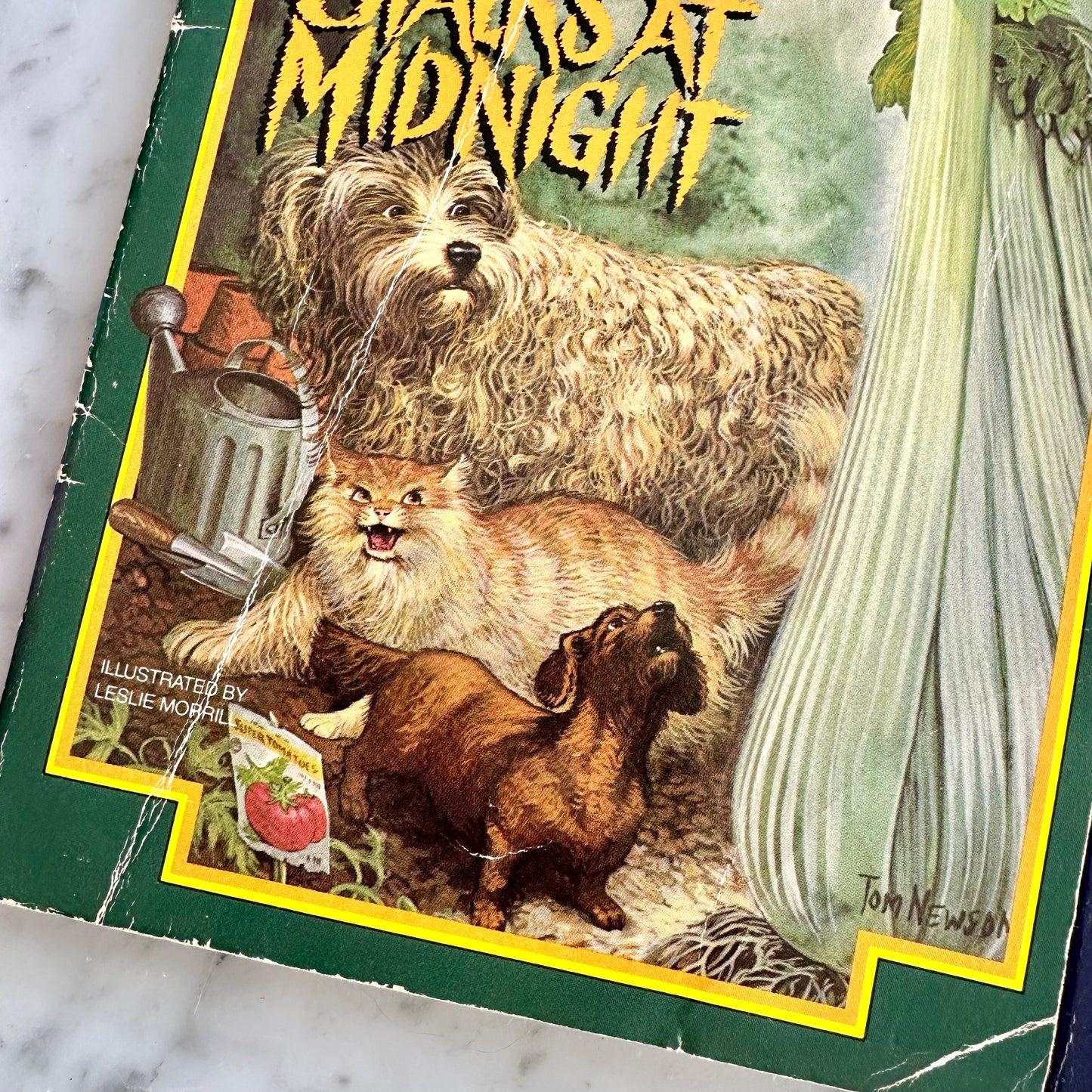 80’s Deborah and Jason Howe Books