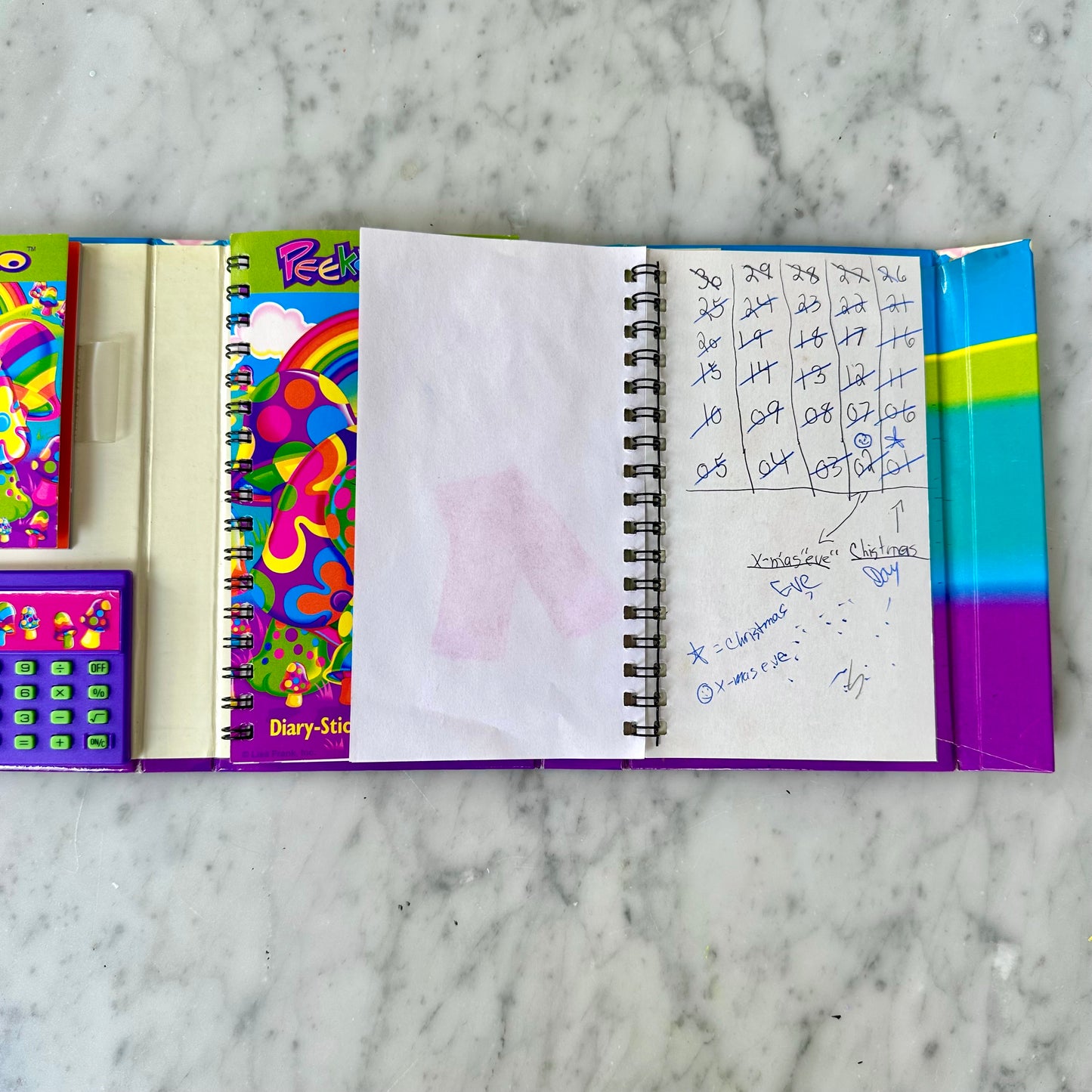 Vintage Lisa Frank Peekaboo Turtle Planner