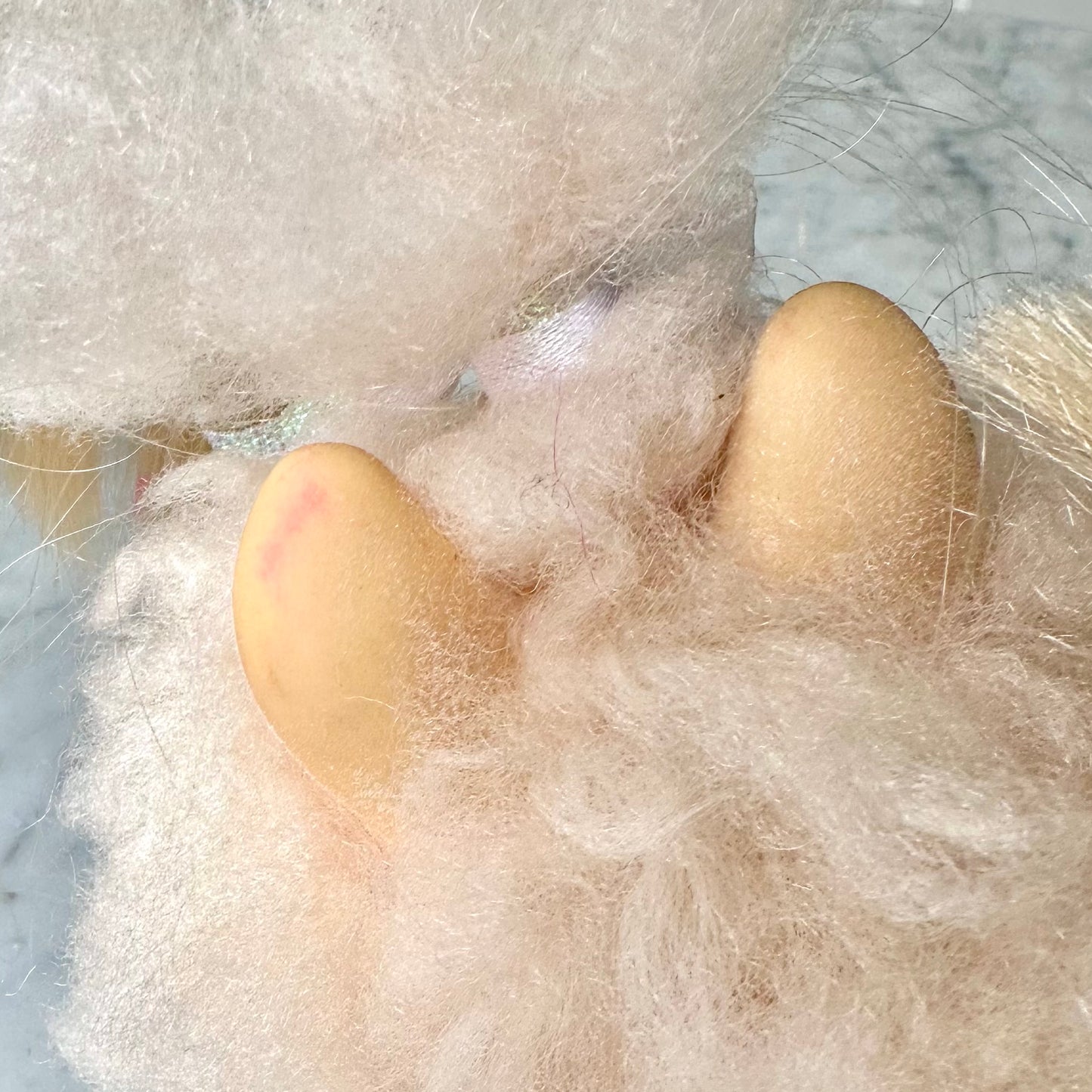 1989 Hasbro Sweetie Pups Pomeranian