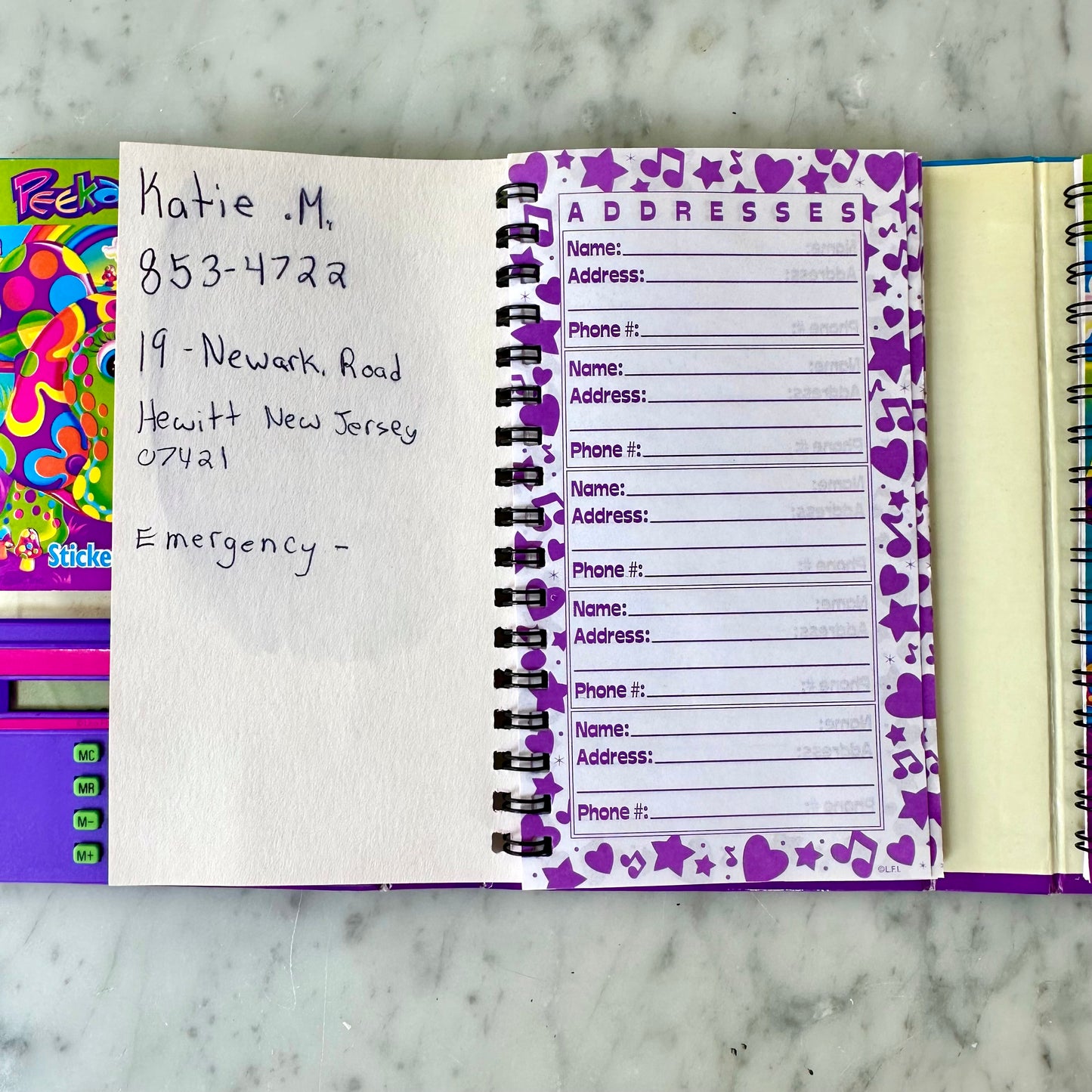 Vintage Lisa Frank Peekaboo Turtle Planner