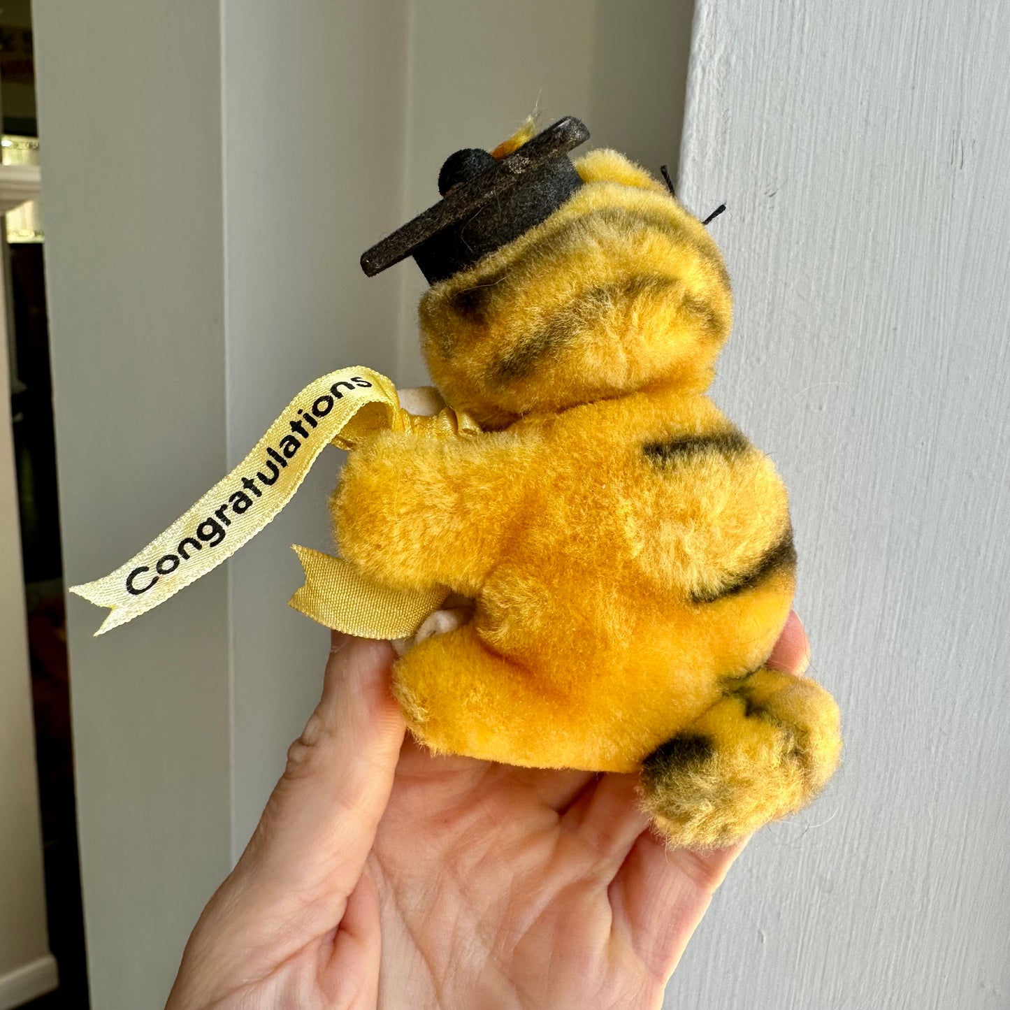 80’s Garfield Graduation Gripper