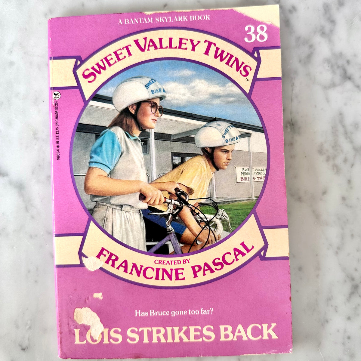 Vintage Sweet Valley Twins Book Lot