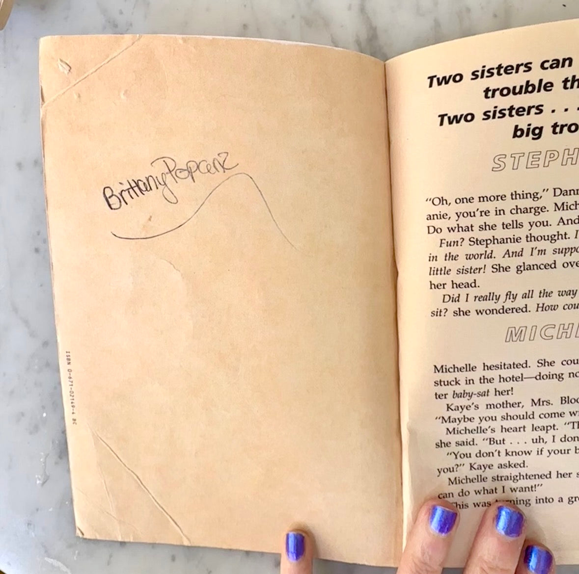 90’s Full House Sisters Books