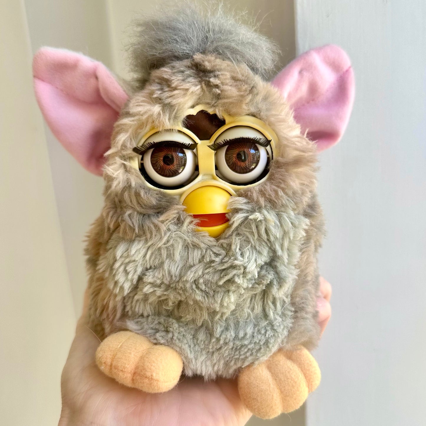 1998 Working Furby