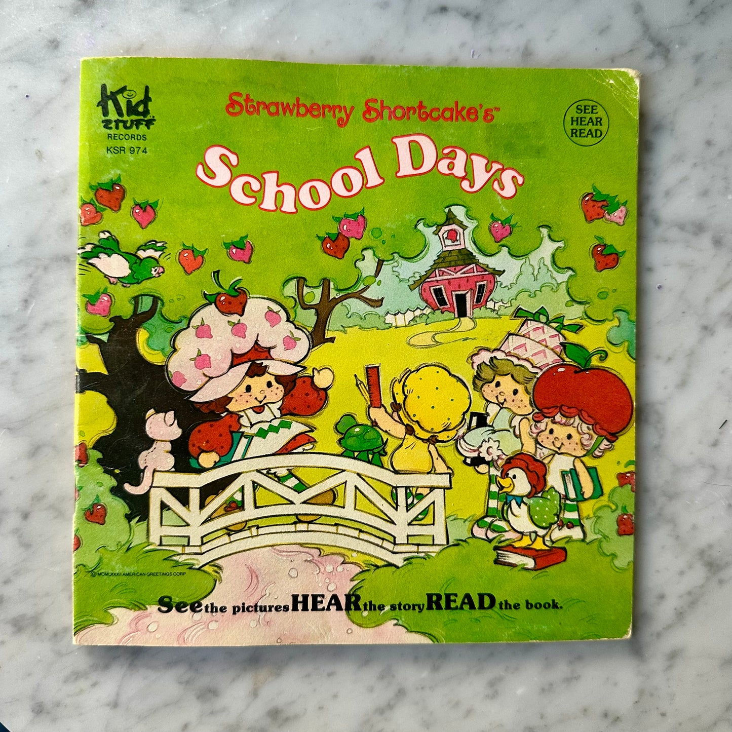 80’s Strawberry Shortcake “School Days” Book & Record