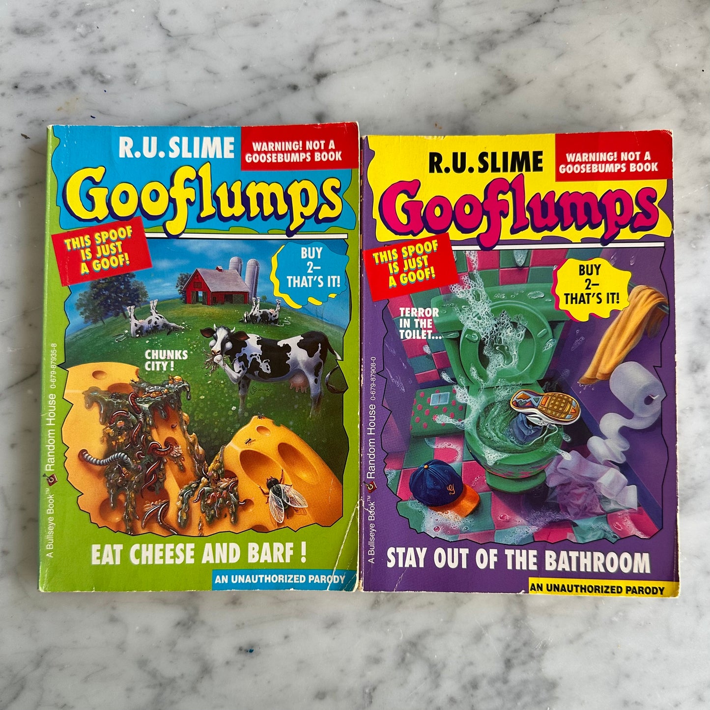 90’s Gooflumps Book Set