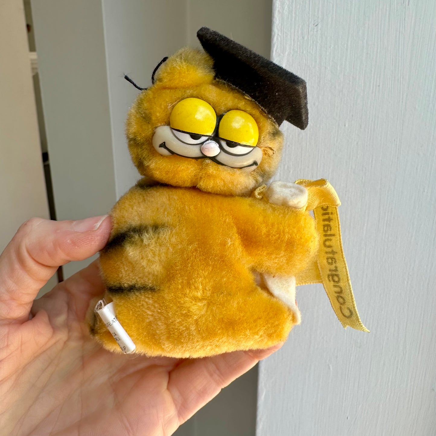 80’s Garfield Graduation Gripper