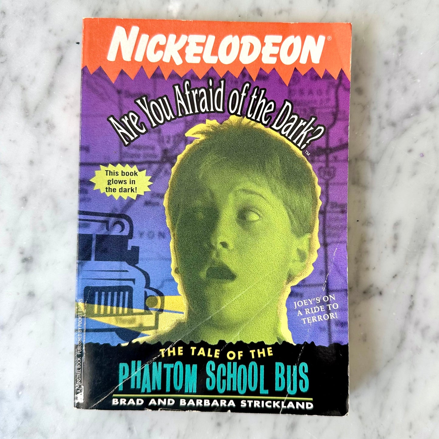 90’s Are You Afraid of the Dark Book #6