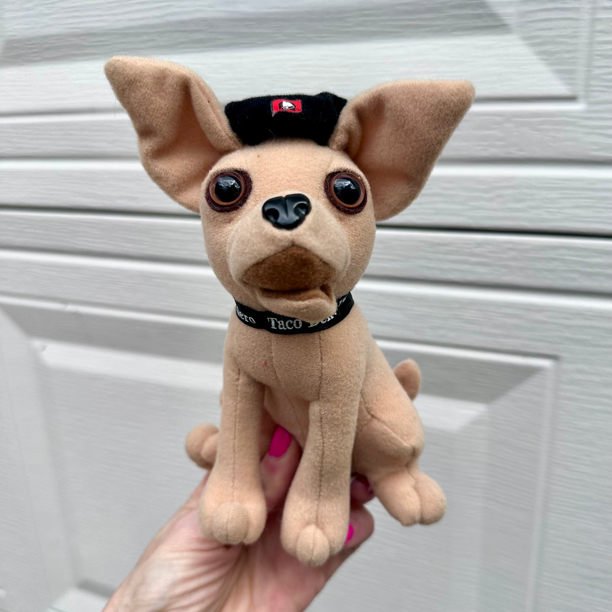 90’s Taco Bell Chihuahua