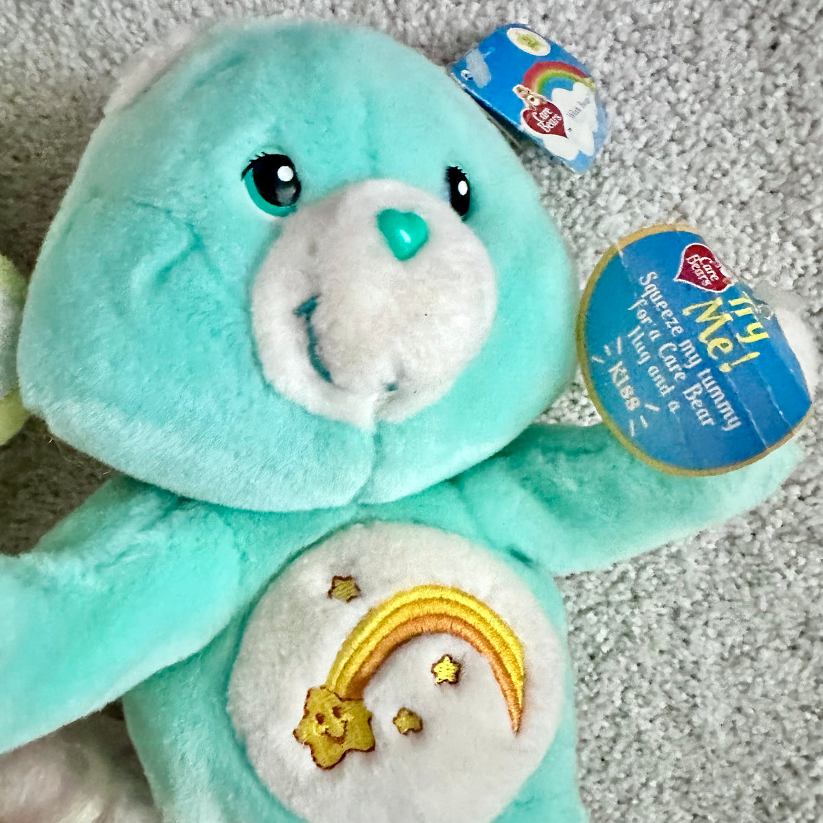Vintage Care Bears Plush Lot