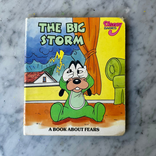 Disney Babies “The Big Storm” Board Book