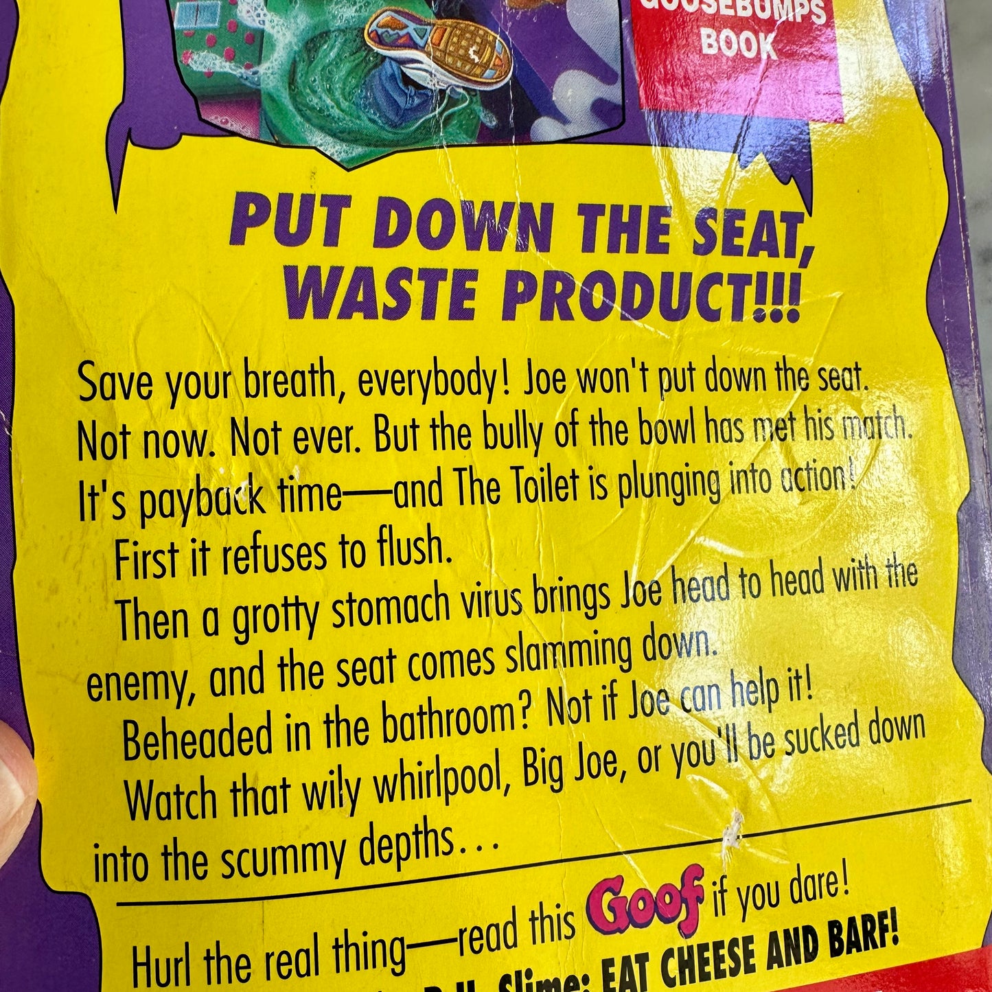 90’s Gooflumps Book Set