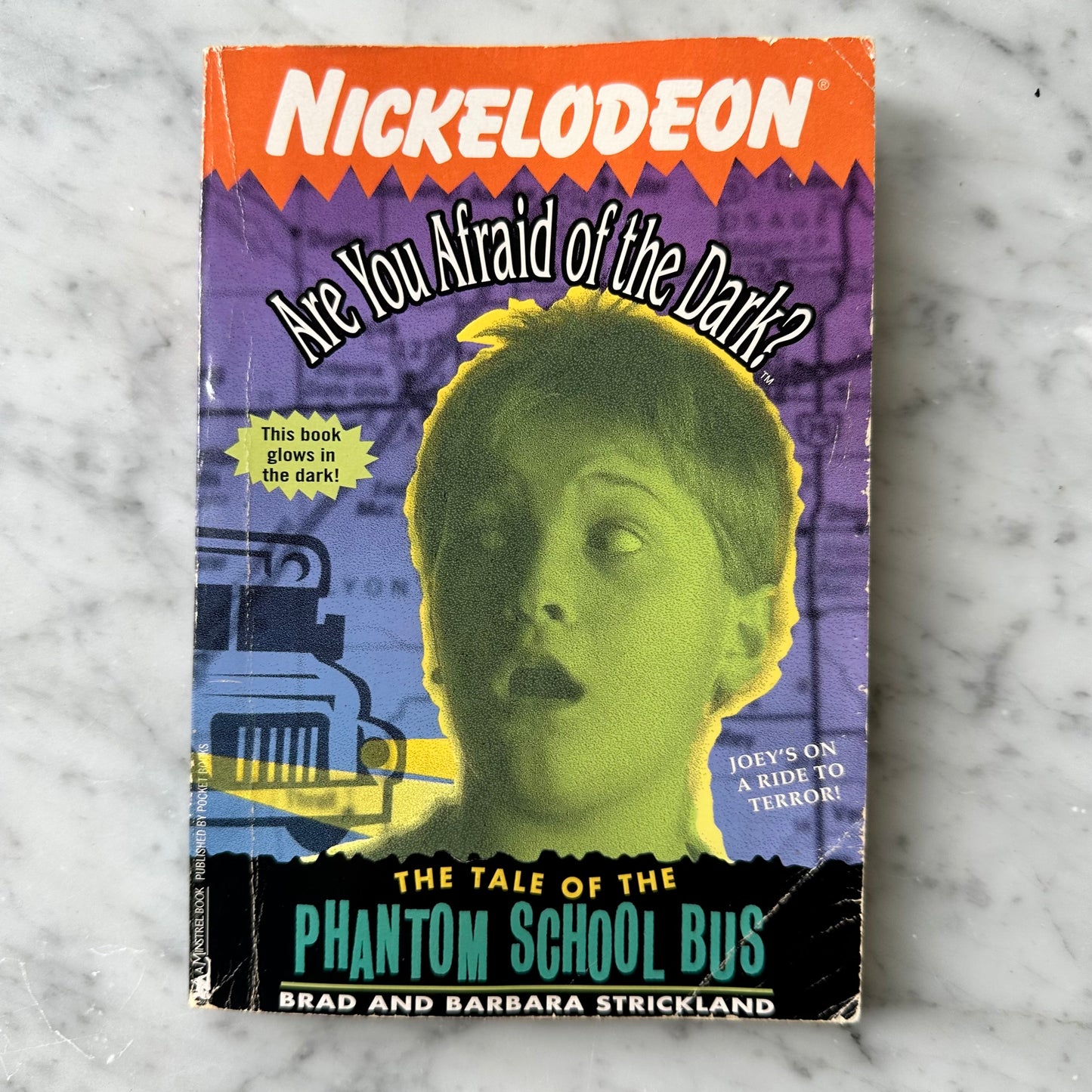 90’s Are You Afraid of the Dark Book #6