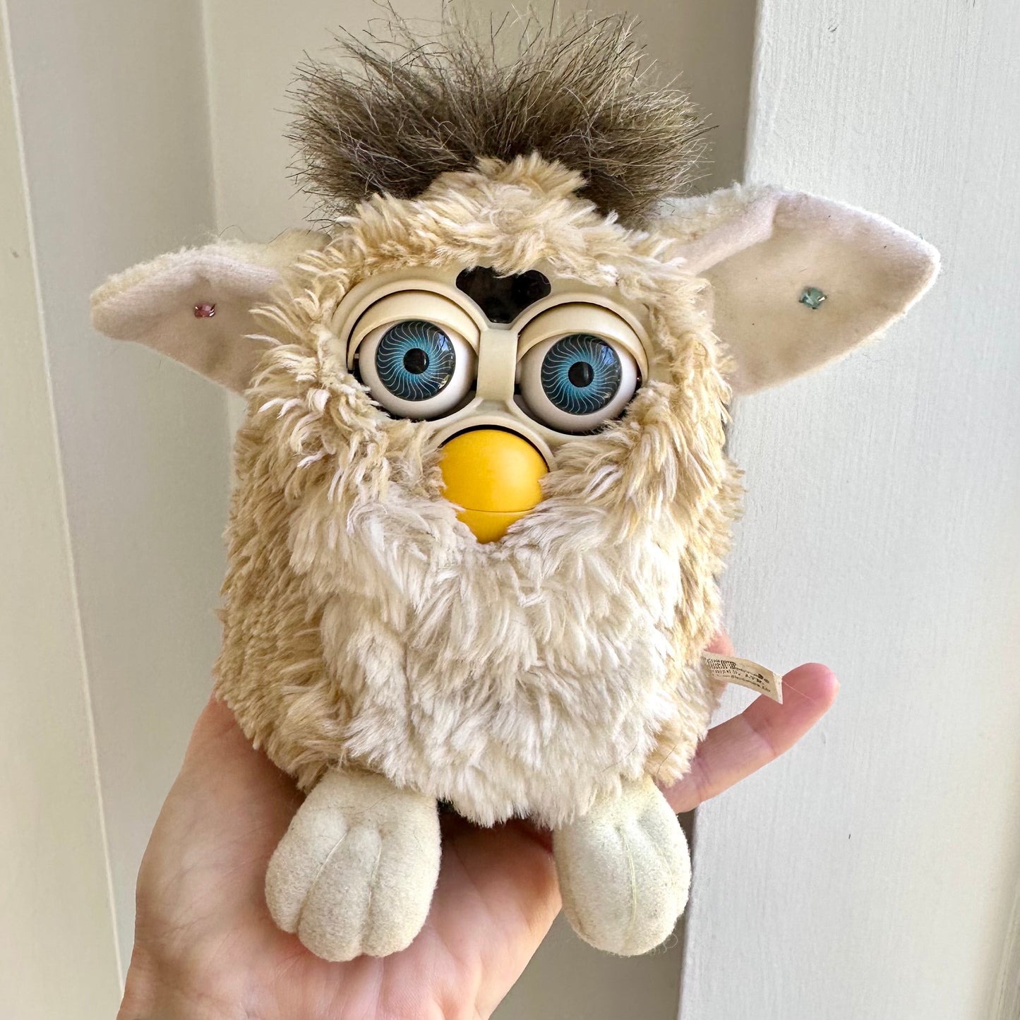 1999 Working Teddy Bear Furby