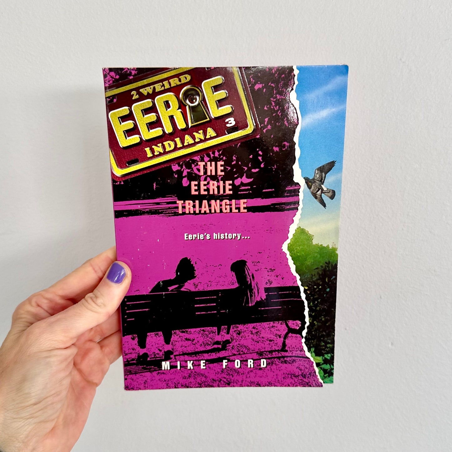 Eerie Indiana “The Eerie Triangle” Book