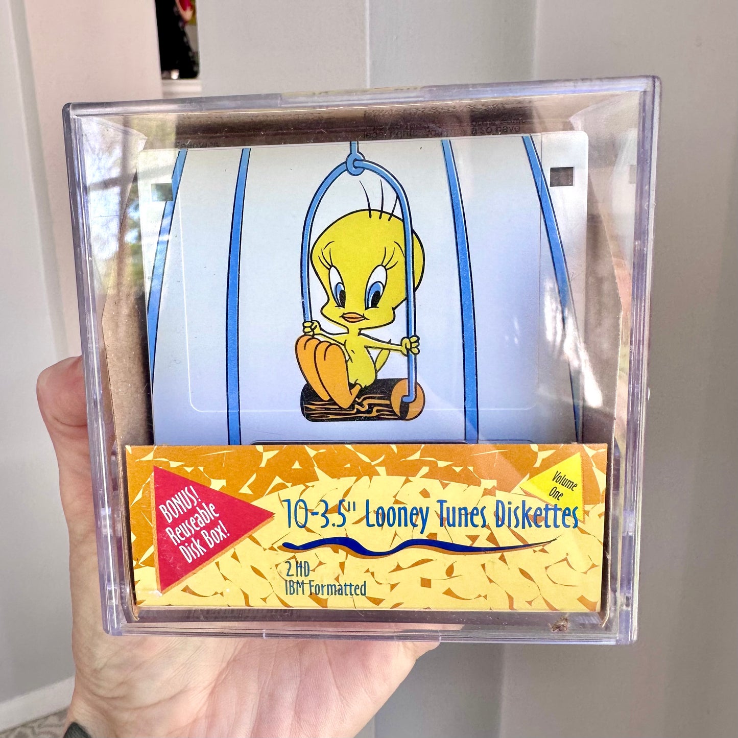 90’s Looney Tunes Diskettes
