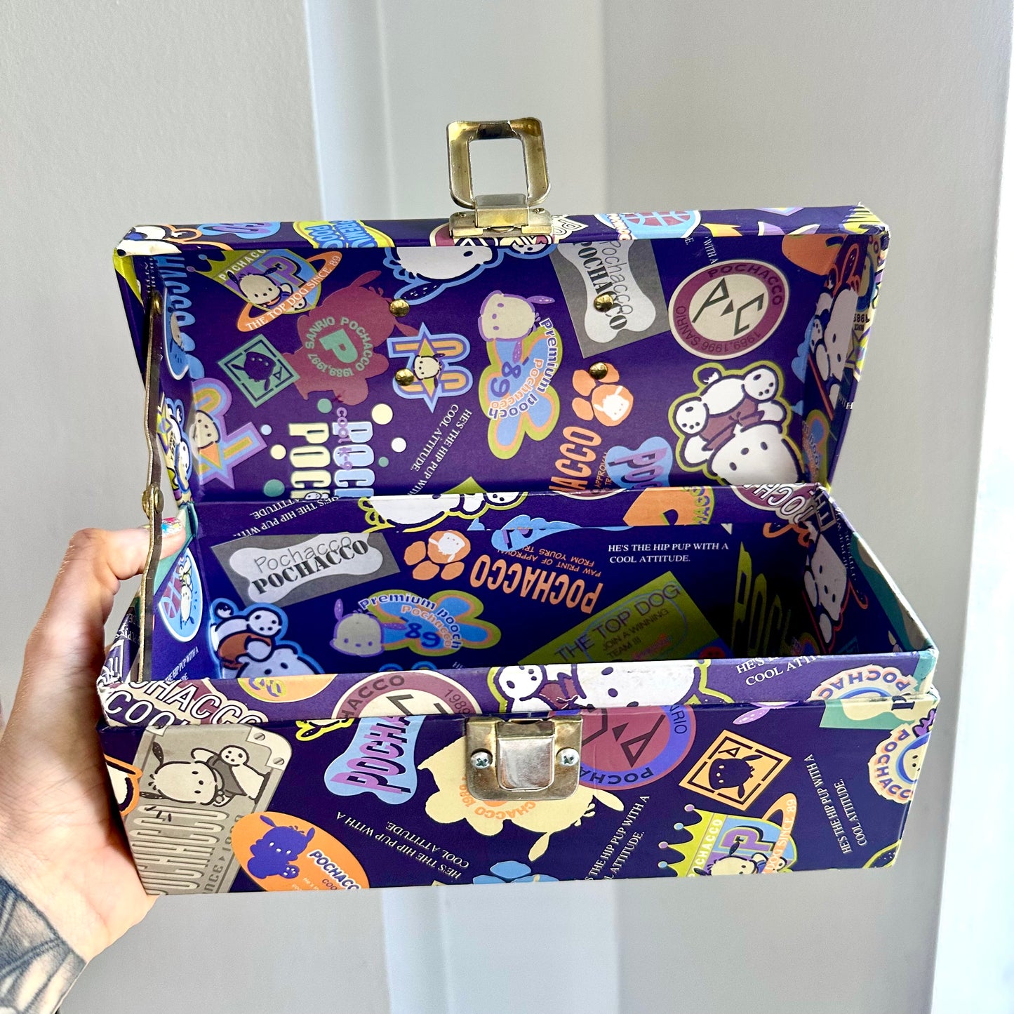 90’s Sanrio Pochacco Trunk