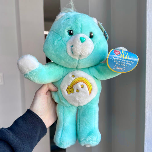 2002 Care Bears Hug & Kiss Wish Bear