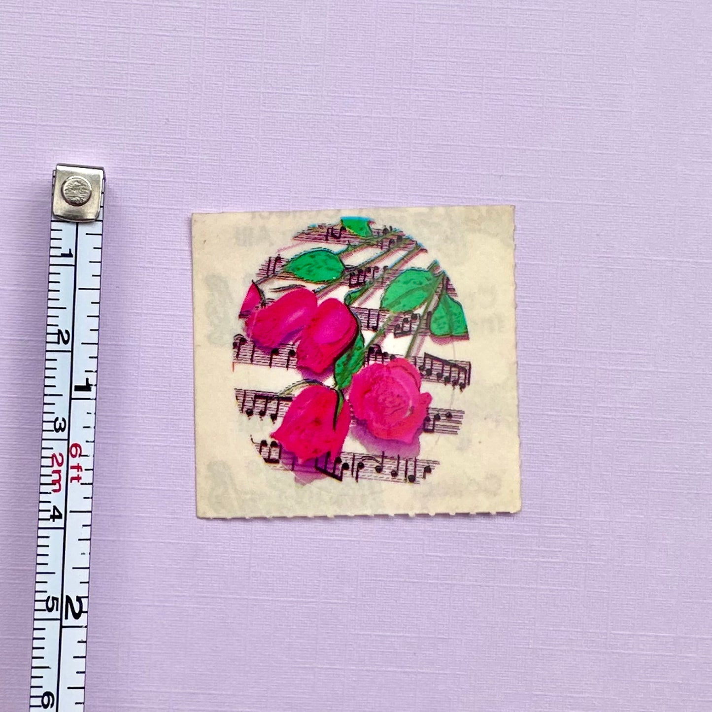 80’s Lisa Frank Roses Sticker