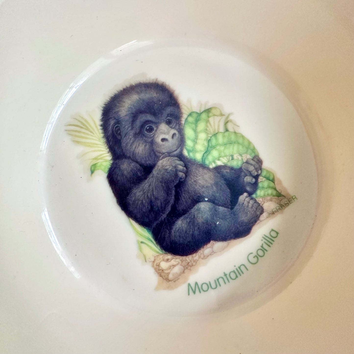 90’s Nature’s Endangered Melamine Plate and Bowl