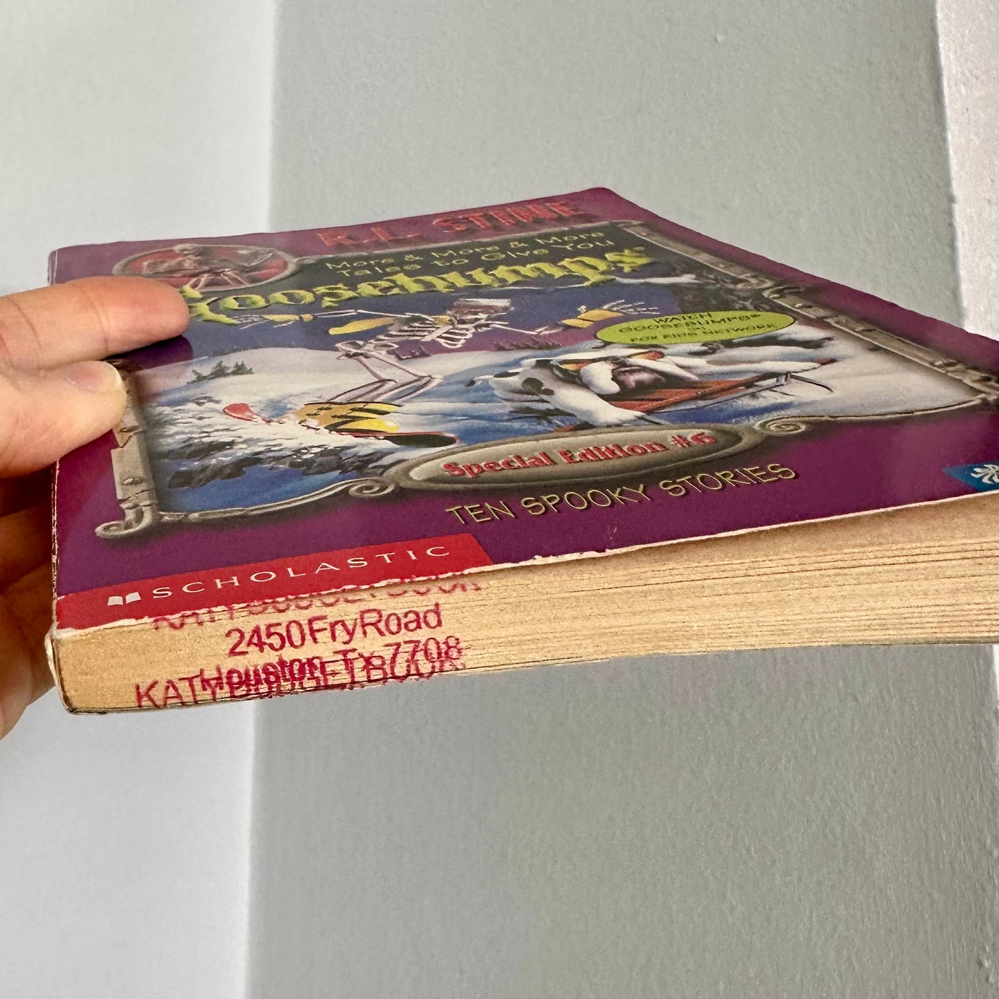 90’s More & More & More Tales to Give You Goosebumps Book #6