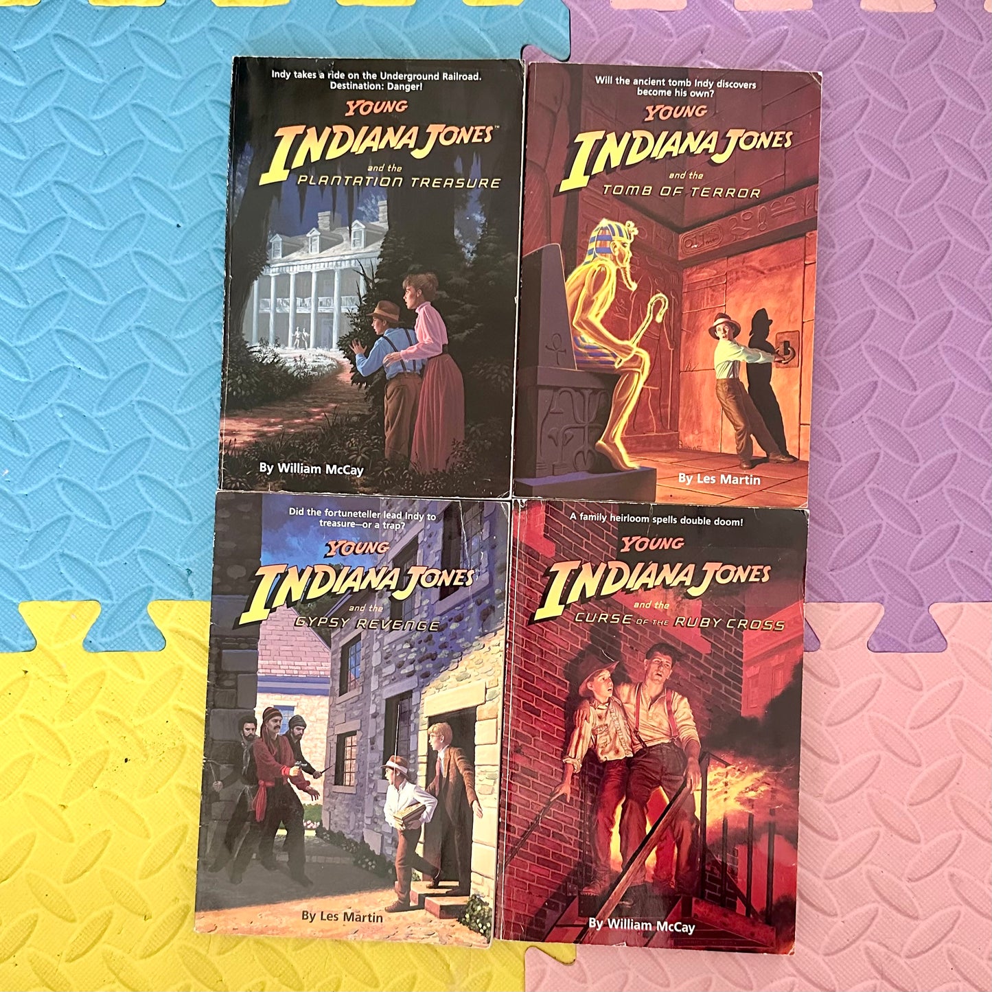 1990 Young Indiana Jones Book Lot