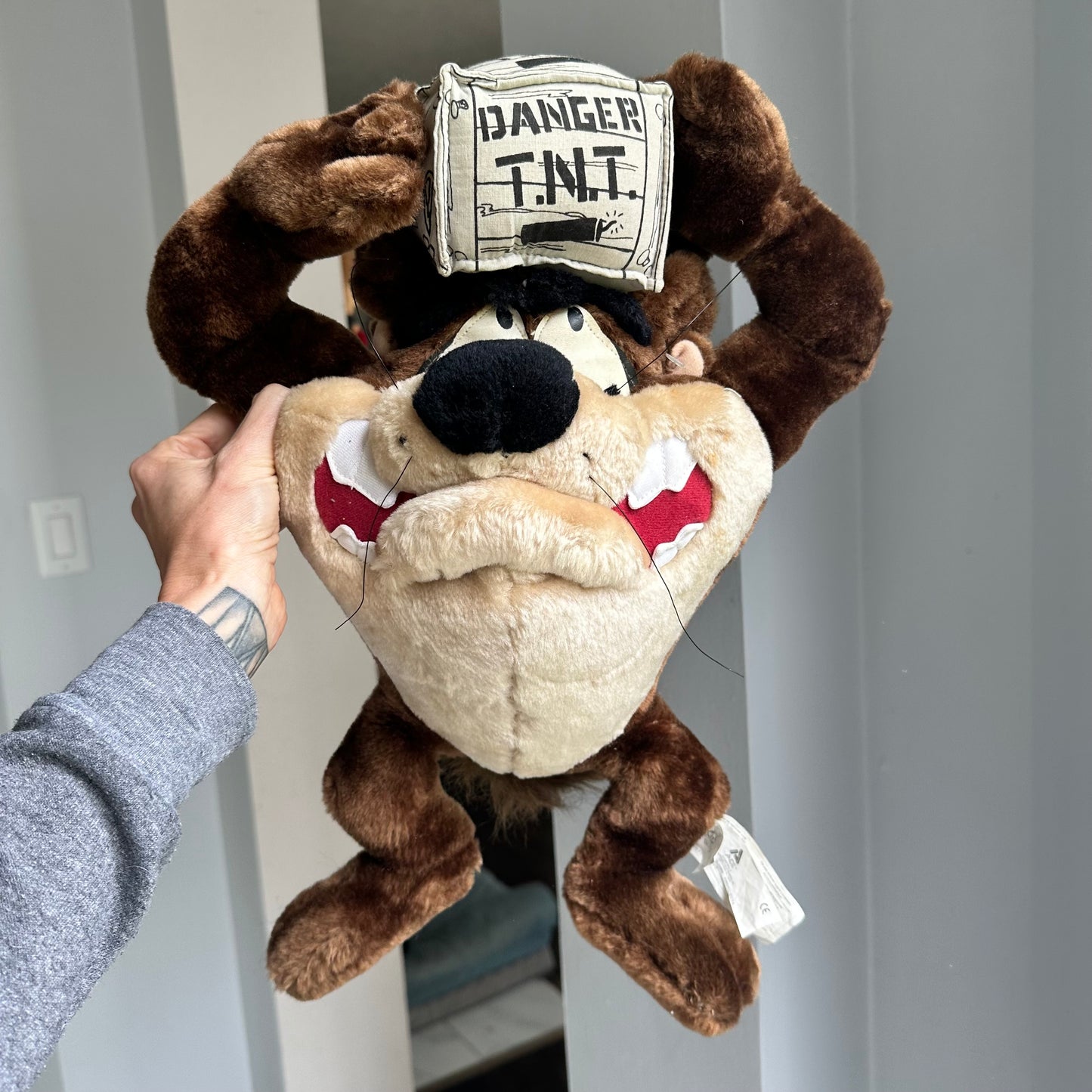 90’s Taz T.N.T. Plush