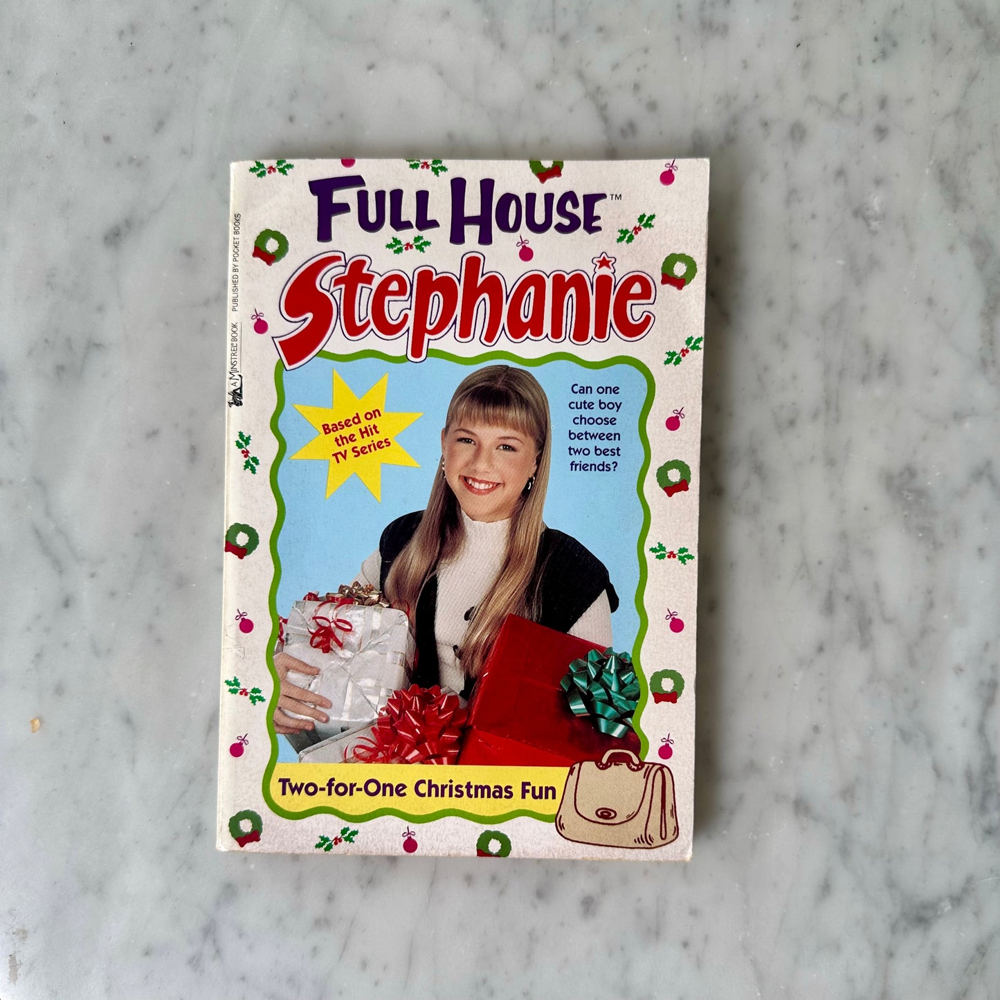 90’s Full House Stephanie Chapter Books