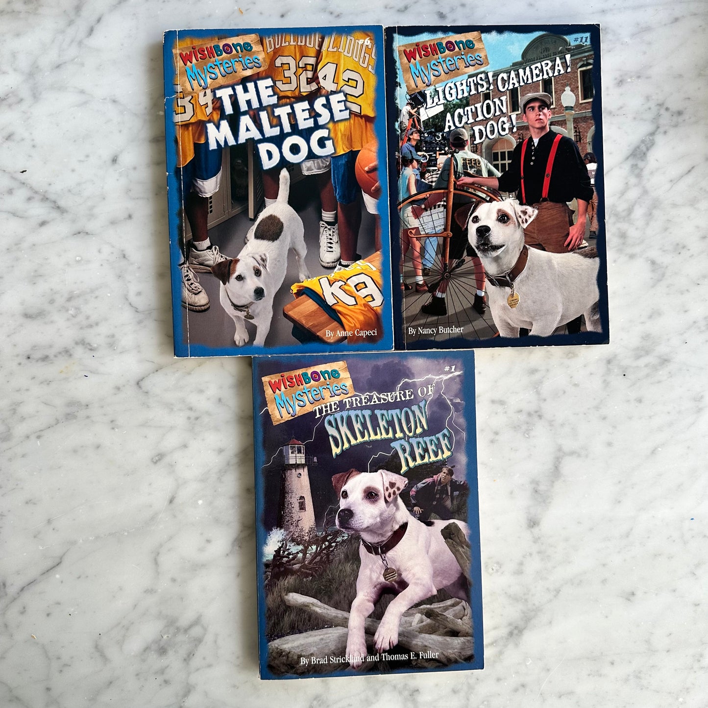 90’s Wishbone Mysteries Book Lot