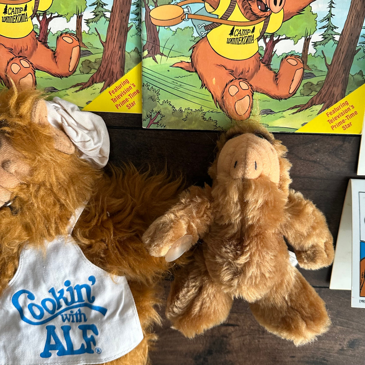 80’s ALF Lot