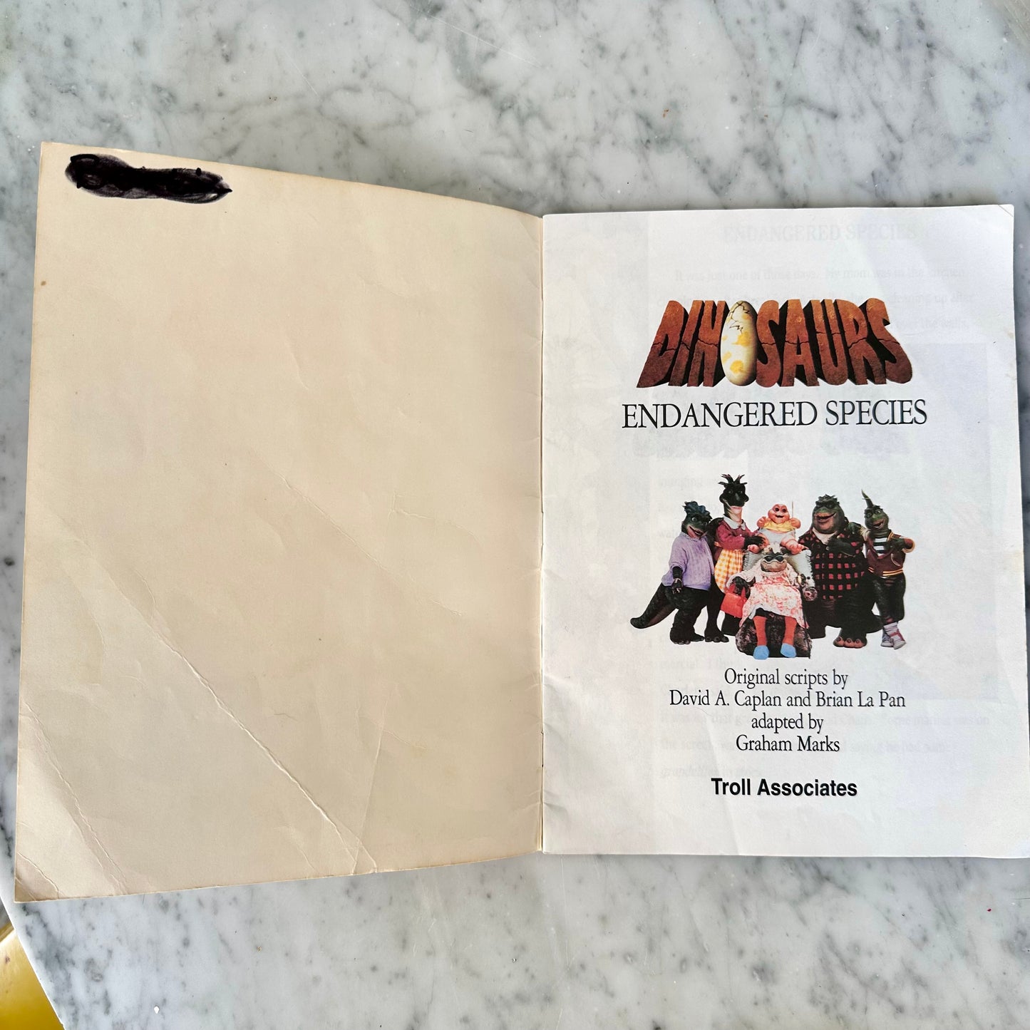 90’s Dinosaurs Book